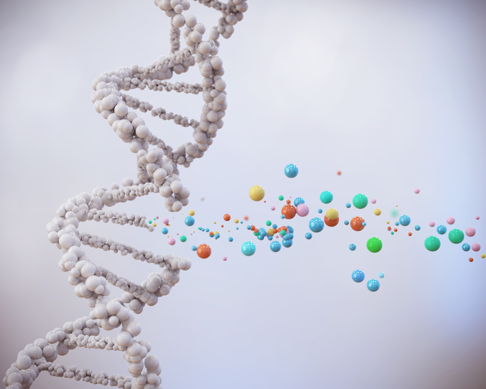 The gene that codes for the sucrase-isomaltase enzyme is altered